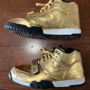 Nike Air Trainer 1 Prm QS NFL Super Bowl 50